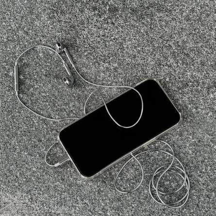 Chrome Wired Earbuds